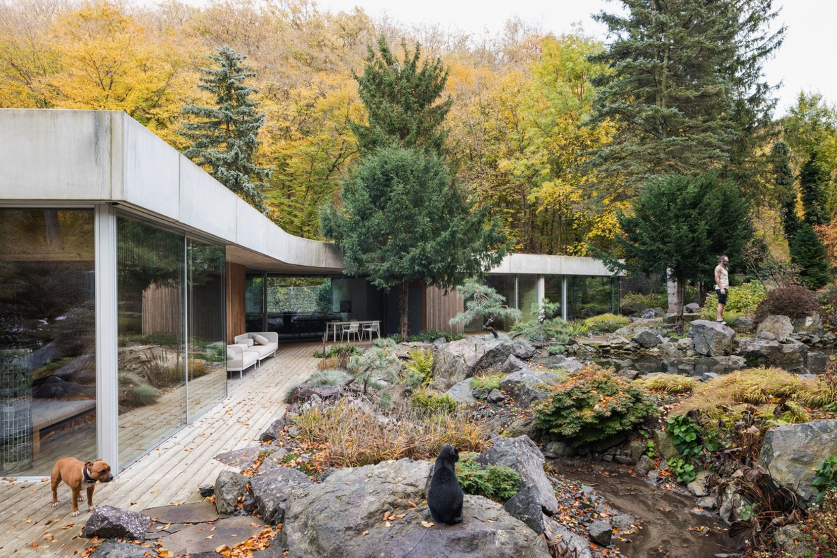 FOTO: Pri Piešťanoch sa nachádza dom priamo uprostred lesa, foto 4