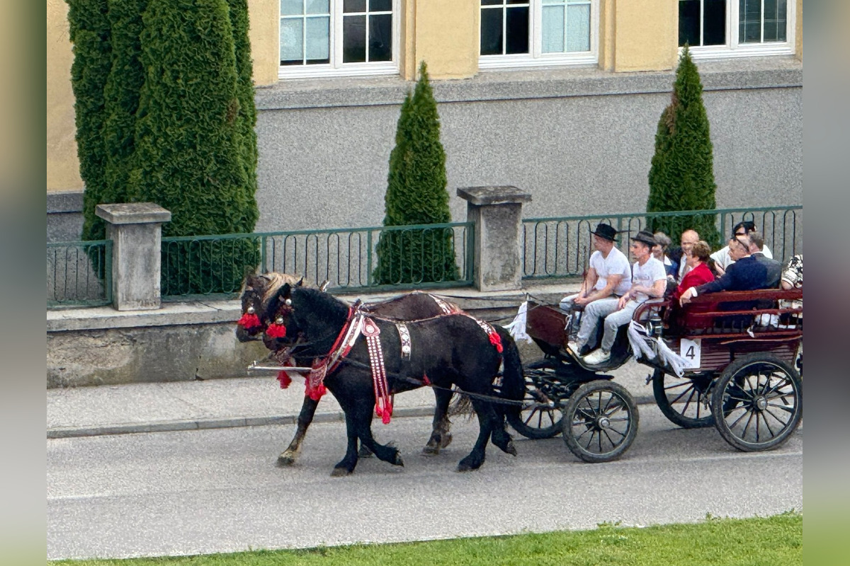 FOTO: Ulice Serede ožili tradičnou svadbou na kočoch, foto 1