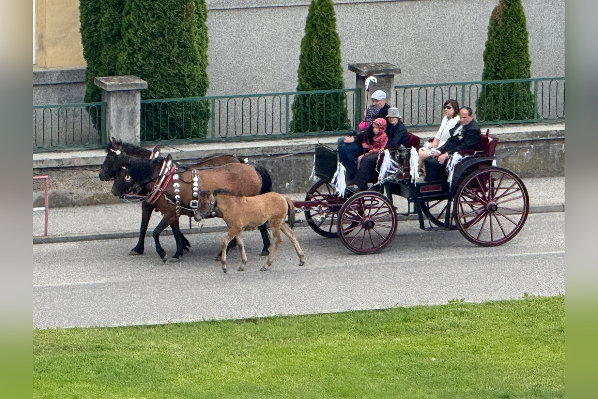 FOTO: Ulice Serede ožili tradičnou svadbou na kočoch, foto 2