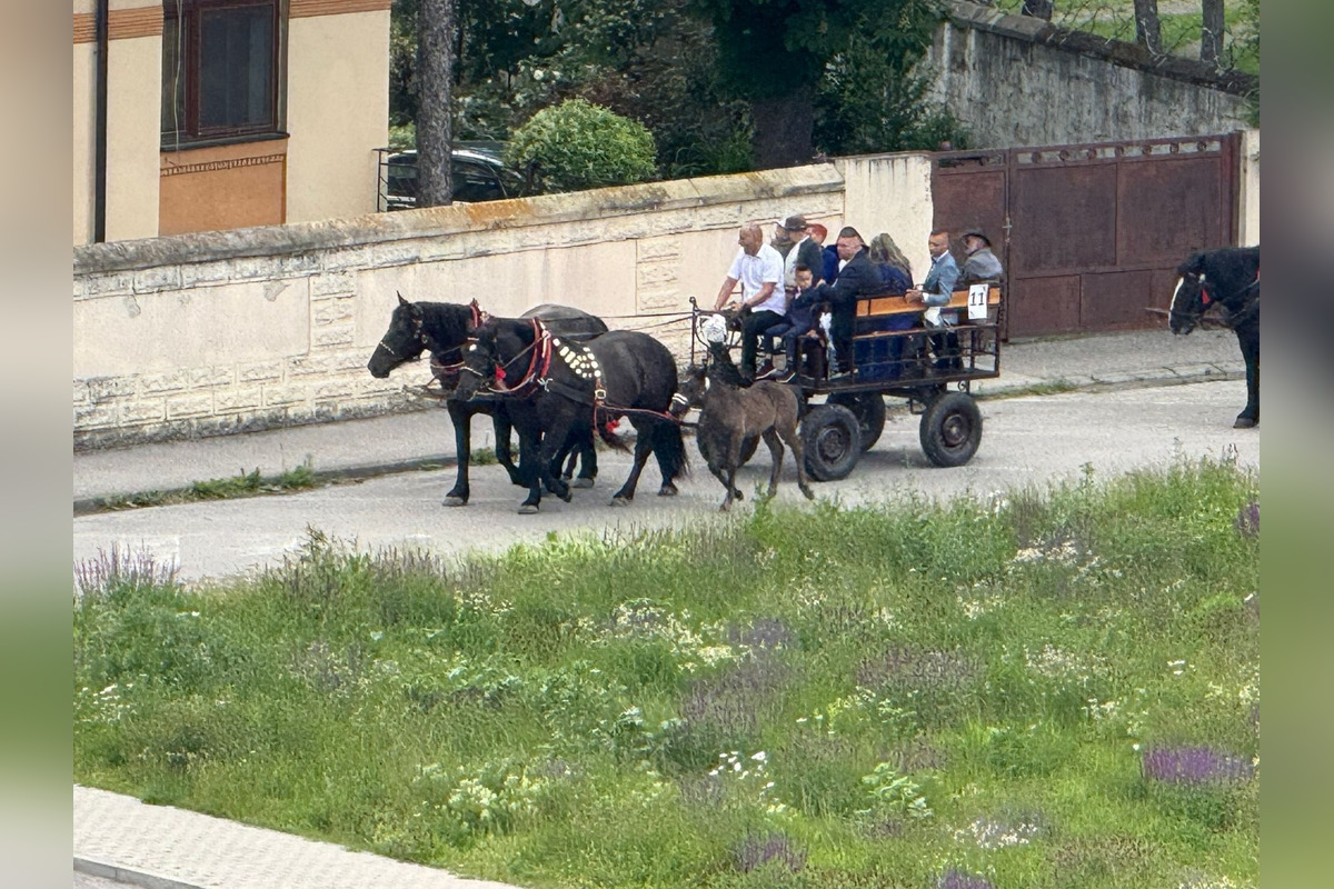 FOTO: Ulice Serede ožili tradičnou svadbou na kočoch, foto 3