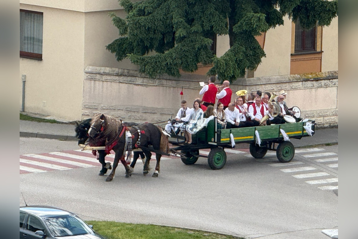 FOTO: Ulice Serede ožili tradičnou svadbou na kočoch, foto 4