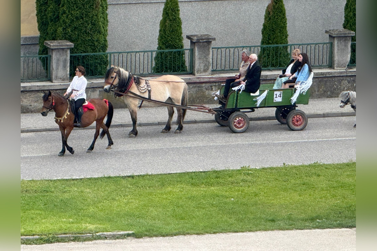 FOTO: Ulice Serede ožili tradičnou svadbou na kočoch, foto 5