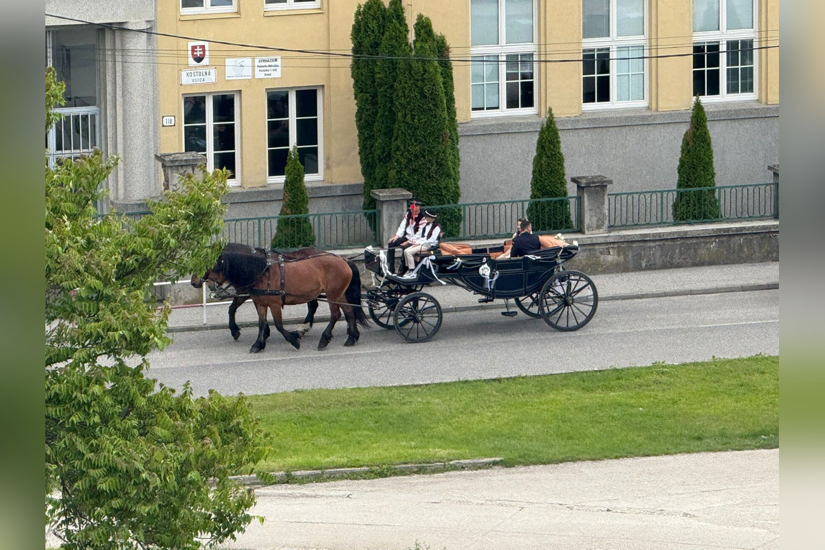 FOTO: Ulice Serede ožili tradičnou svadbou na kočoch, foto 6