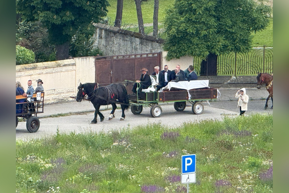 FOTO: Ulice Serede ožili tradičnou svadbou na kočoch, foto 7
