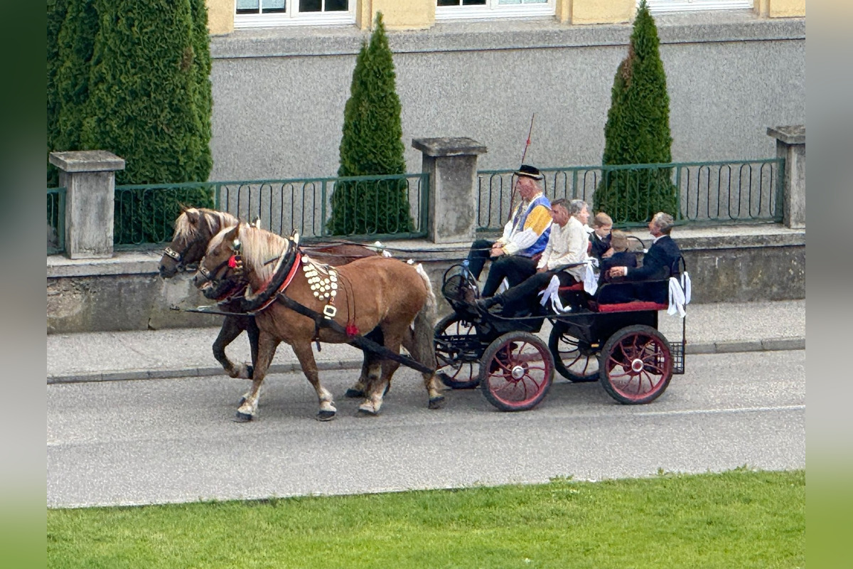FOTO: Ulice Serede ožili tradičnou svadbou na kočoch, foto 8