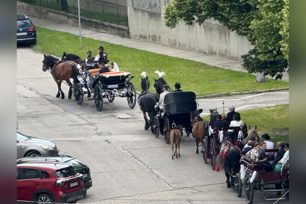 FOTO: Ulice Serede ožili tradičnou svadbou na kočoch, foto 9