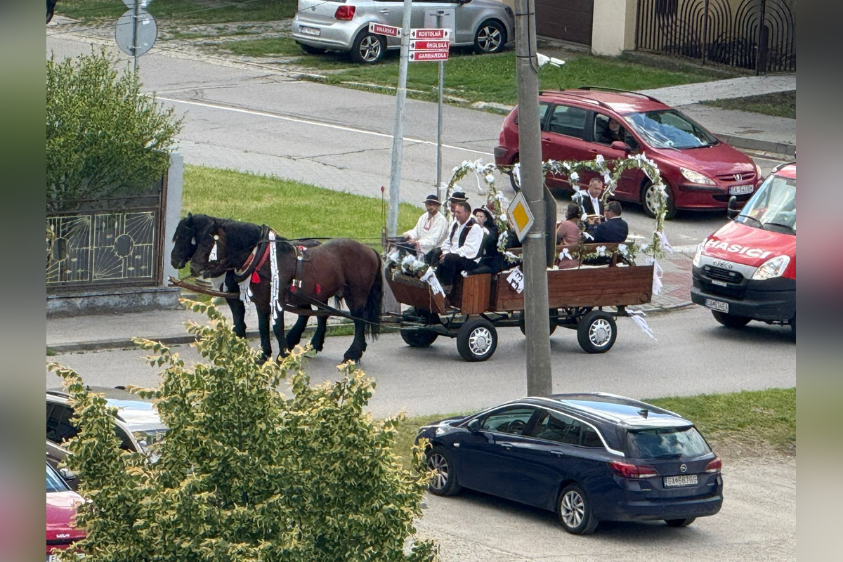 FOTO: Ulice Serede ožili tradičnou svadbou na kočoch, foto 10