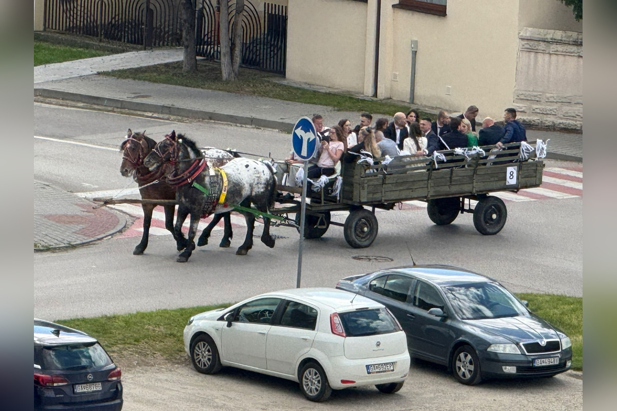 FOTO: Ulice Serede ožili tradičnou svadbou na kočoch, foto 12