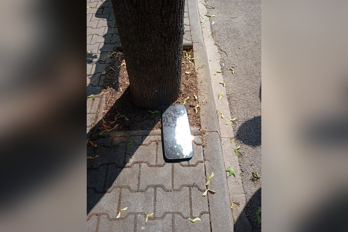 FOTO: Spadnutý strom v Piešťanoch, foto 3