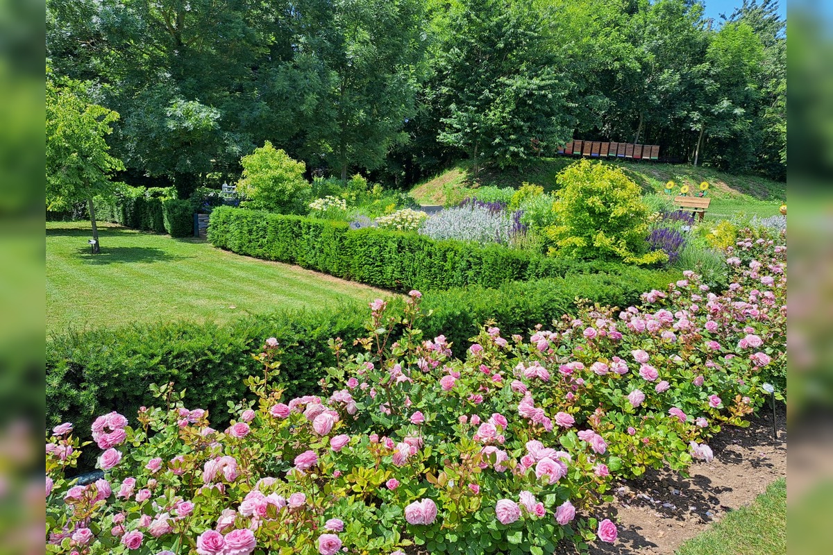 FOTO: Rozárium v Medolandii, foto 5