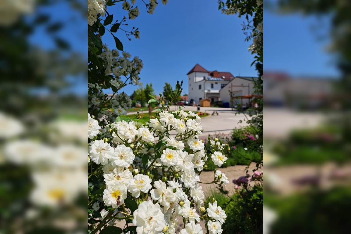 FOTO: Rozárium v Medolandii, foto 6