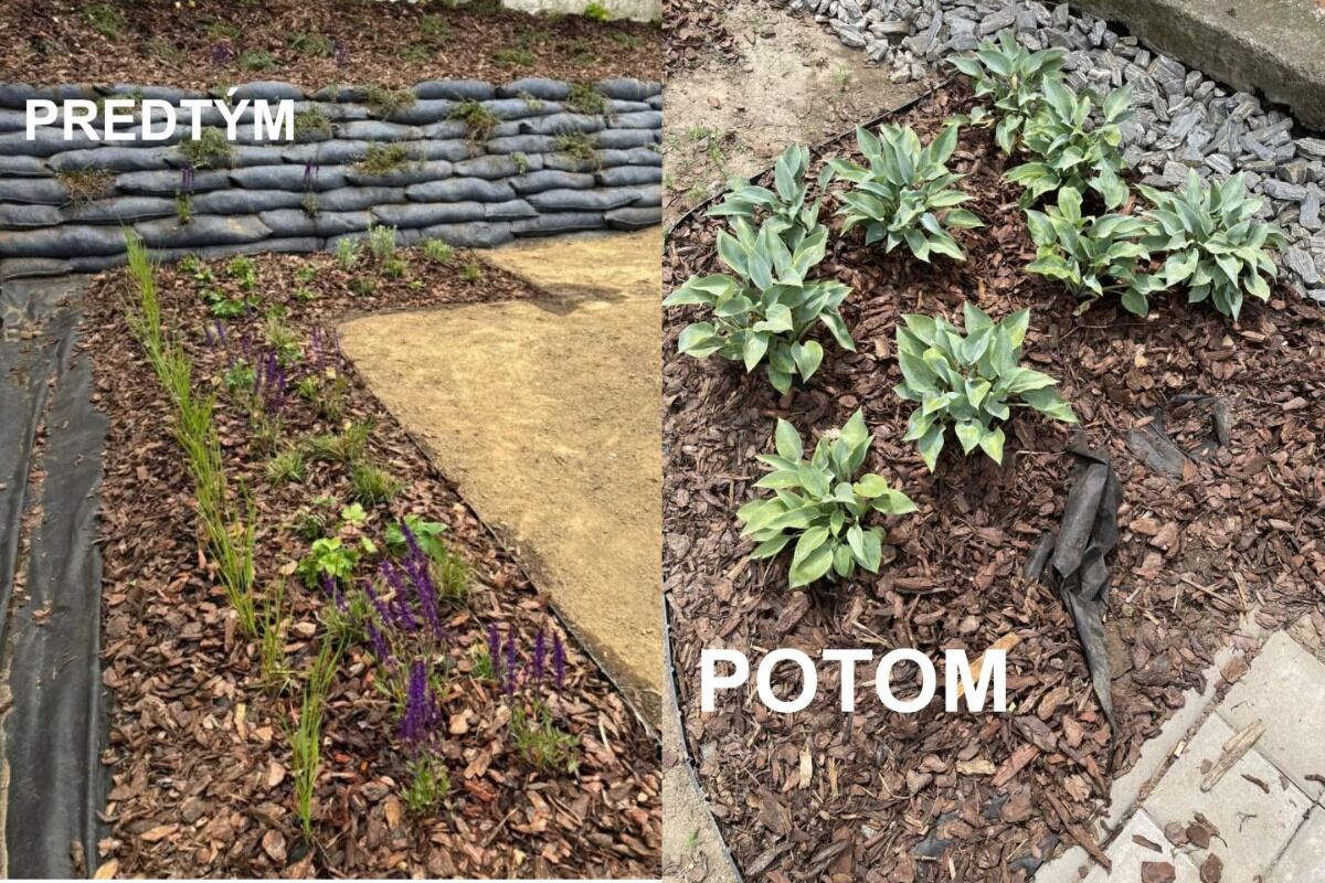 FOTO: V Hlohovci vyčíňali zlodeji, ukradli novo vysadené rastliny, foto 1