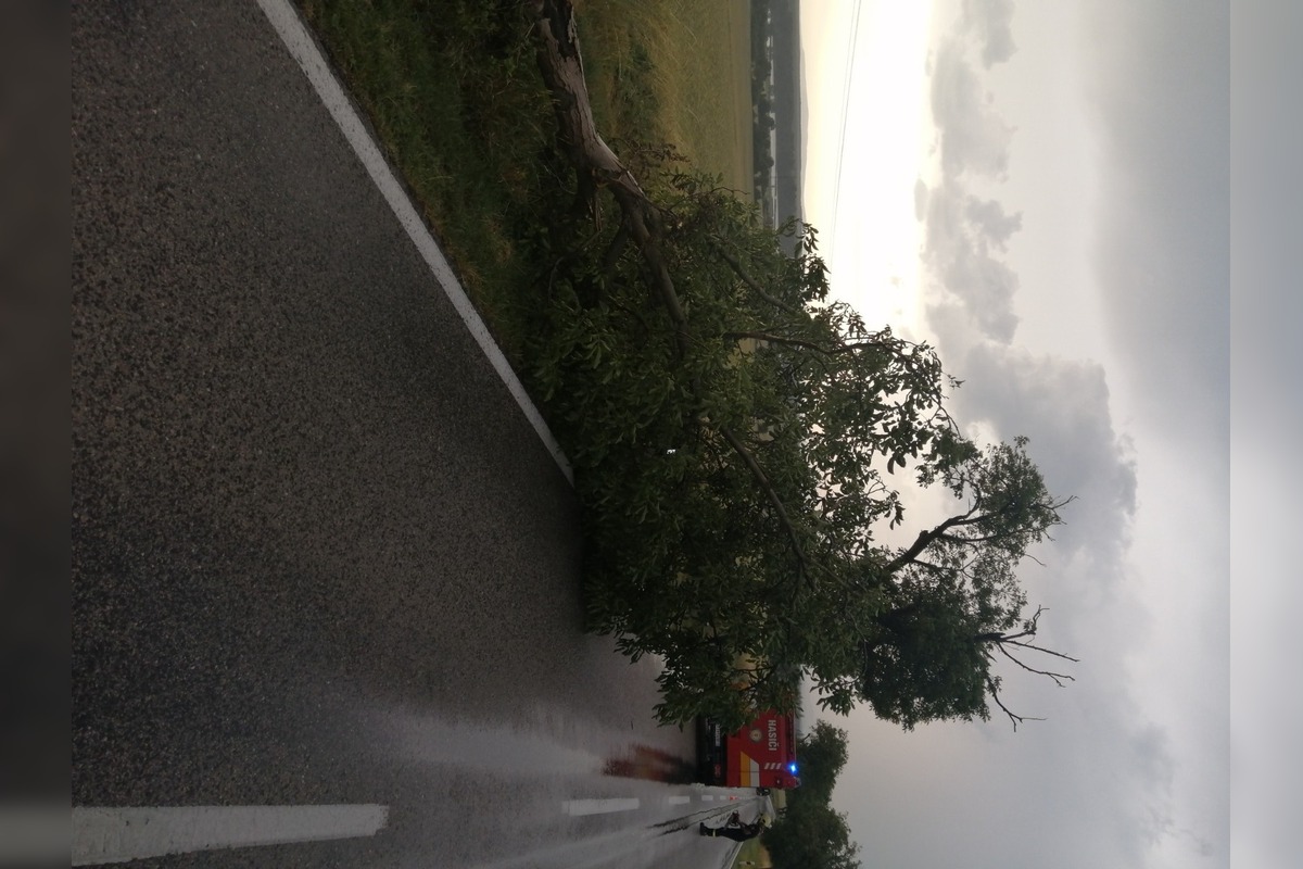 FOTO: Silný vietor spôsobuje chaos na cestách, hasiči zasahujú pri viacerých pádoch stromov, foto 1