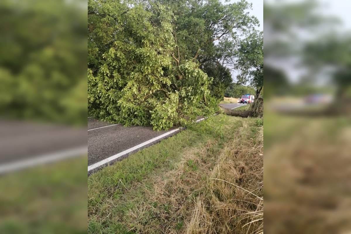 FOTO: Silný vietor spôsobuje chaos na cestách, hasiči zasahujú pri viacerých pádoch stromov, foto 3
