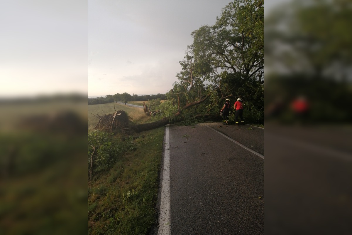 FOTO: Silný vietor spôsobuje chaos na cestách, hasiči zasahujú pri viacerých pádoch stromov, foto 4
