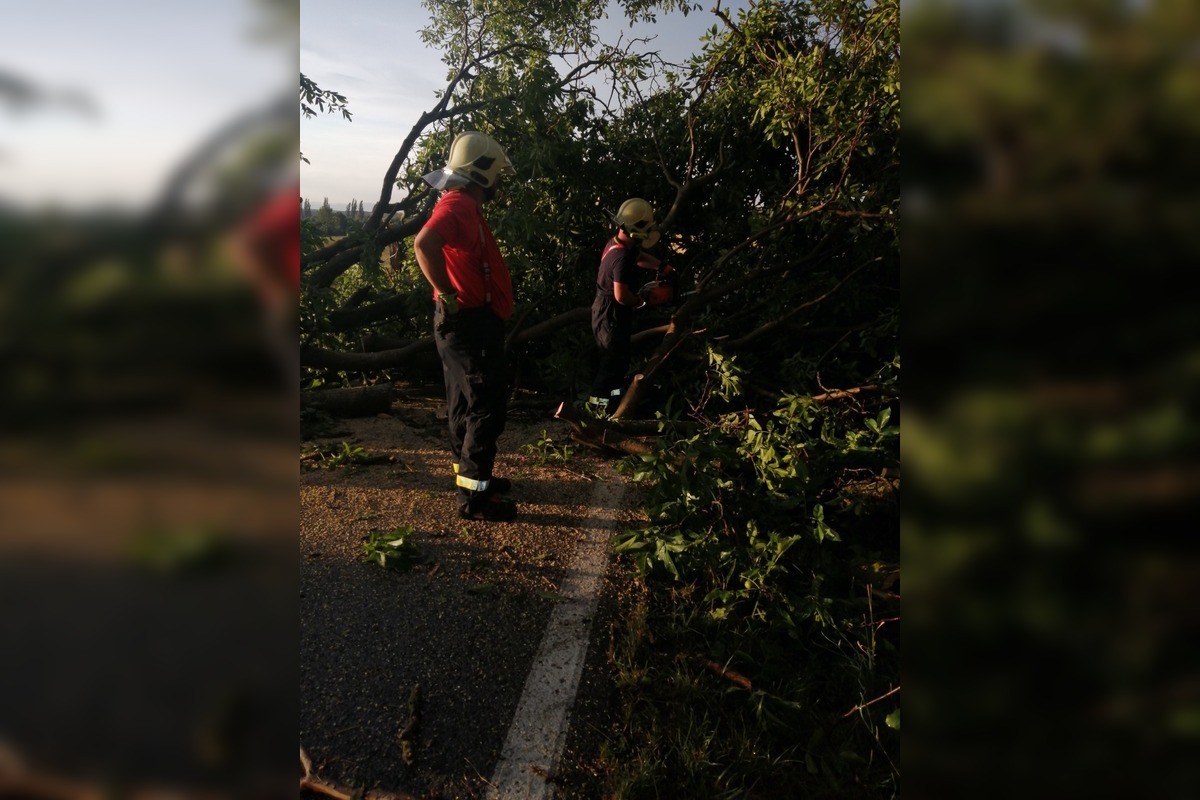FOTO: Silný vietor spôsobuje chaos na cestách, hasiči zasahujú pri viacerých pádoch stromov, foto 5