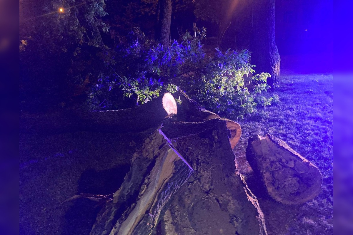 FOTO: Krajom sa prehnala silná búrka, lámala konáre a ničila strechy, foto 2