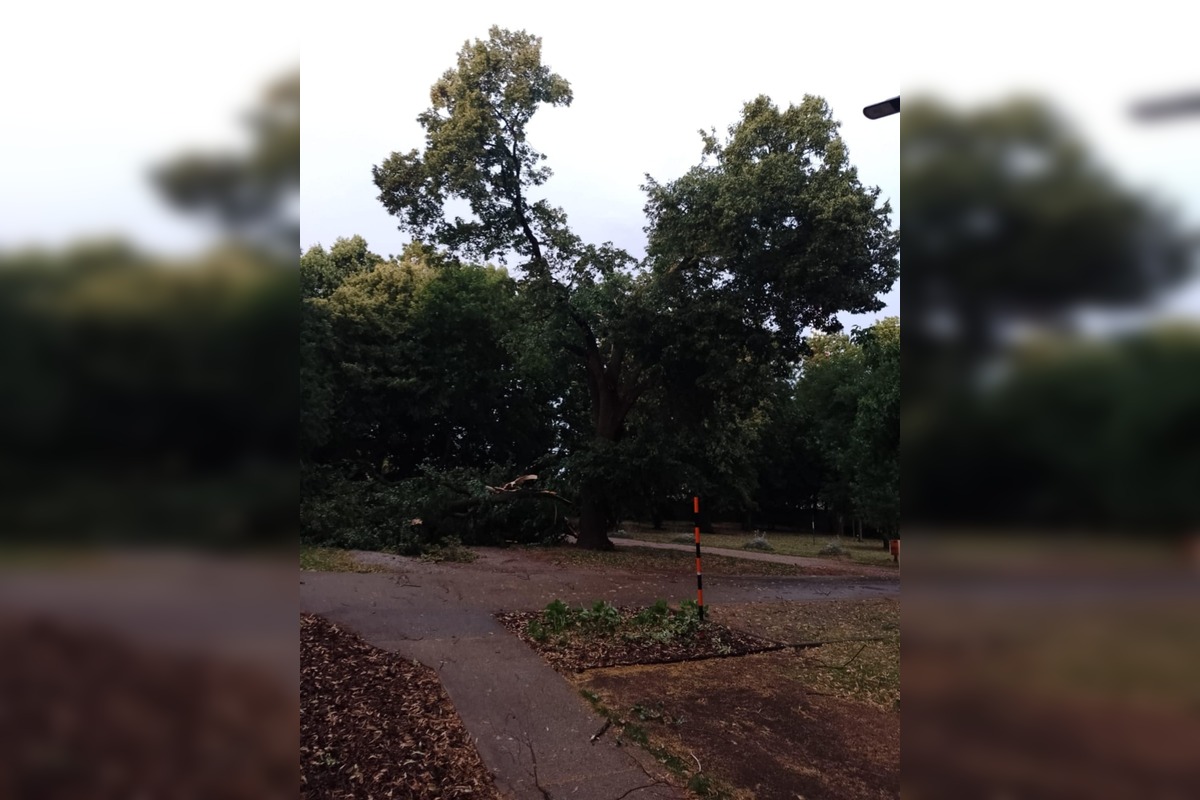 FOTO: Krajom sa prehnala silná búrka, lámala konáre a ničila strechy, foto 4