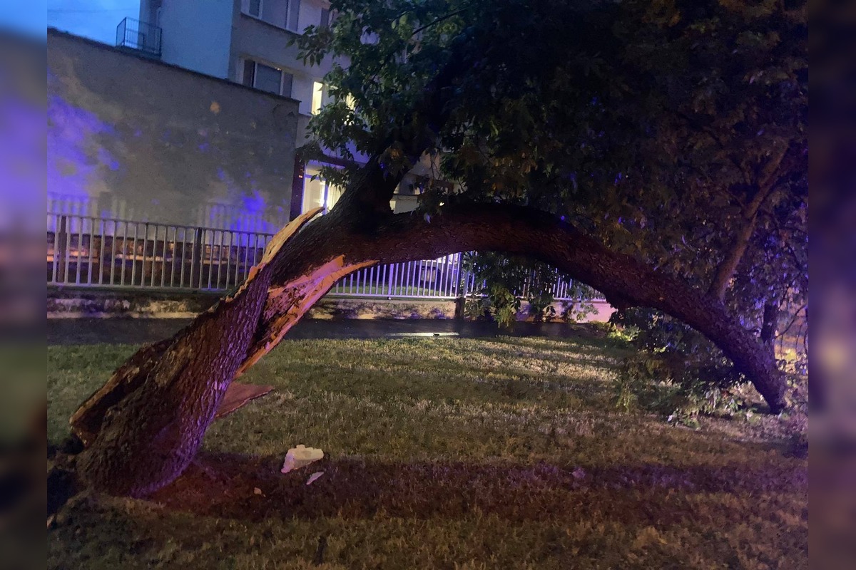 FOTO: Krajom sa prehnala silná búrka, lámala konáre a ničila strechy, foto 5