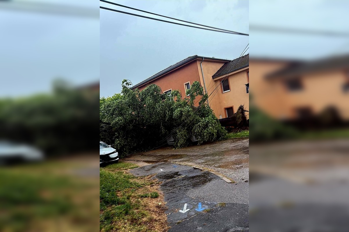 FOTO: Krajom sa prehnala silná búrka, lámala konáre a ničila strechy, foto 6