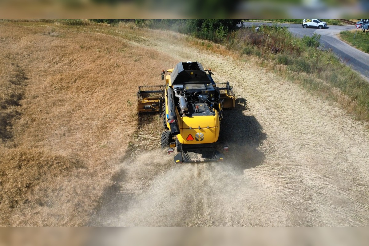 FOTO: Žatva pri Trnave oficiálne začala, najprv zbierajú repku, foto 6
