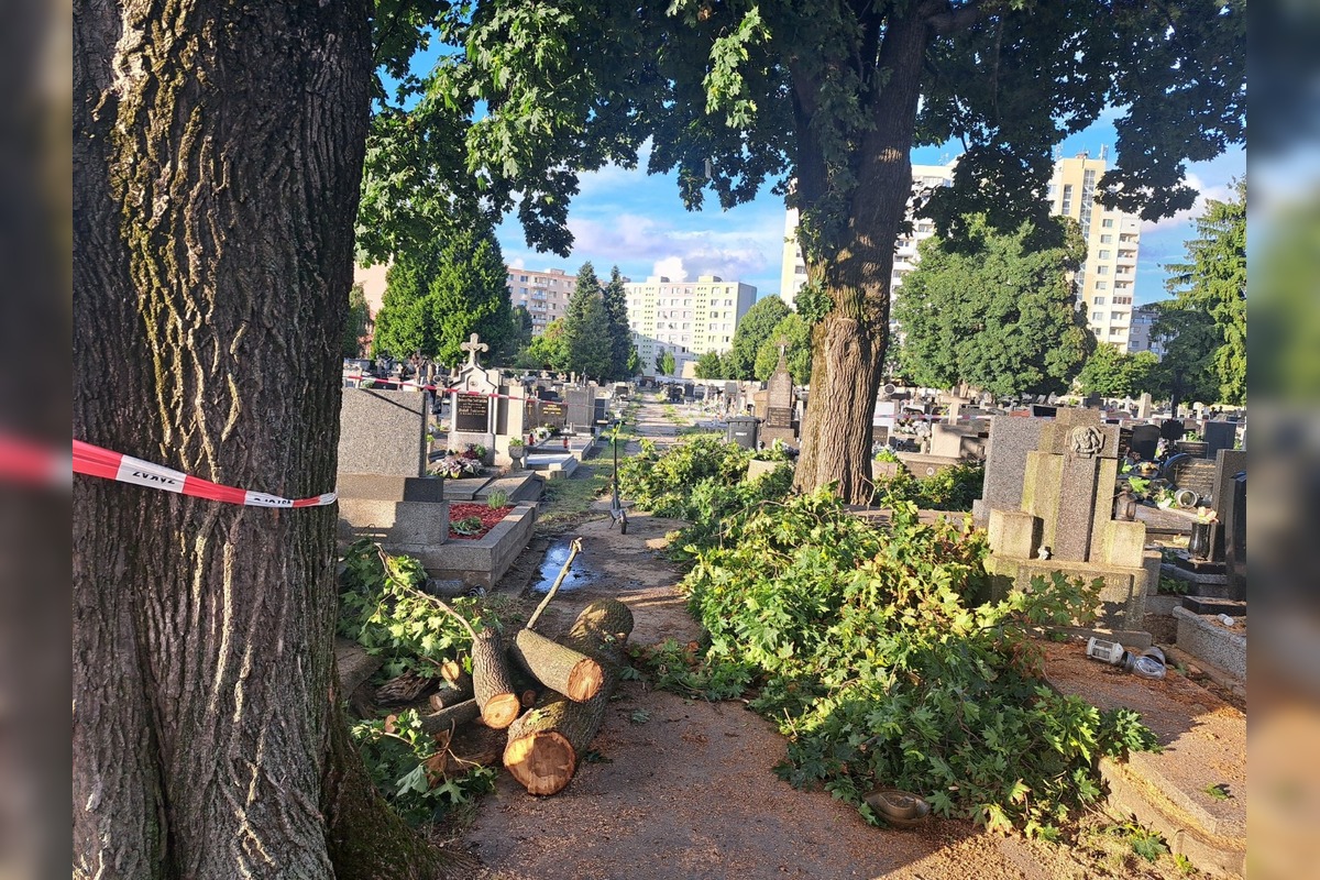 FOTO: Silný vietor napáchal škody aj na trnavskom cintoríne, popadali tam stromy, foto 1