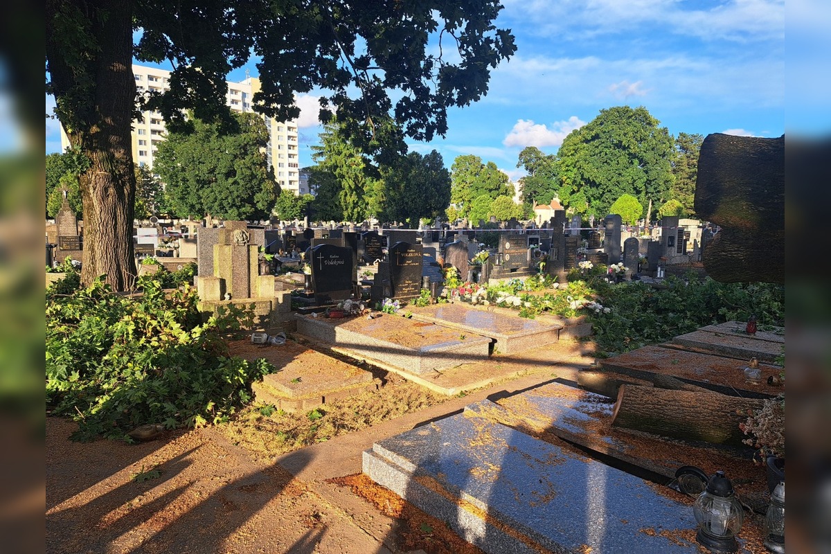 FOTO: Silný vietor napáchal škody aj na trnavskom cintoríne, popadali tam stromy, foto 2