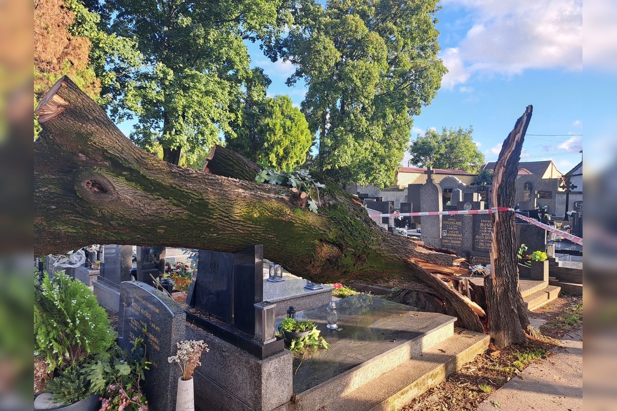 FOTO: Silný vietor napáchal škody aj na trnavskom cintoríne, popadali tam stromy, foto 3