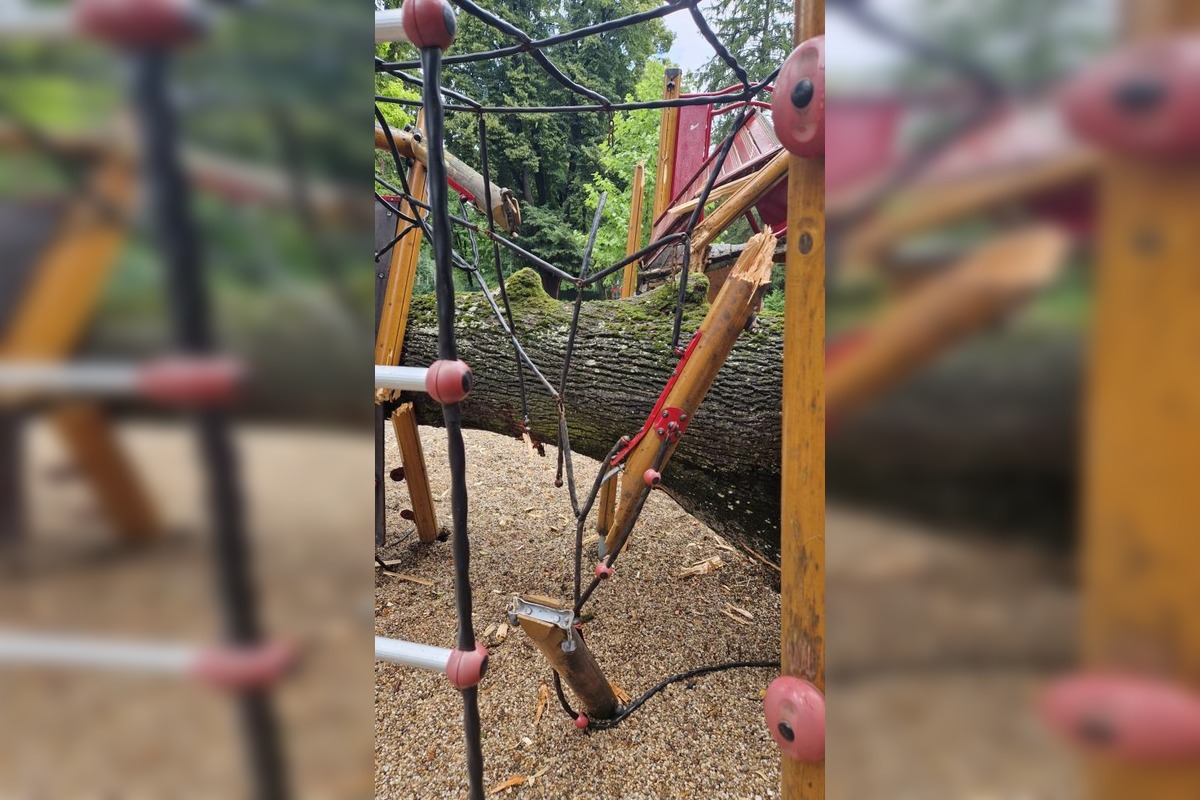 FOTO: V Piešťanoch spadol na ihrisko chorý strom, foto 1