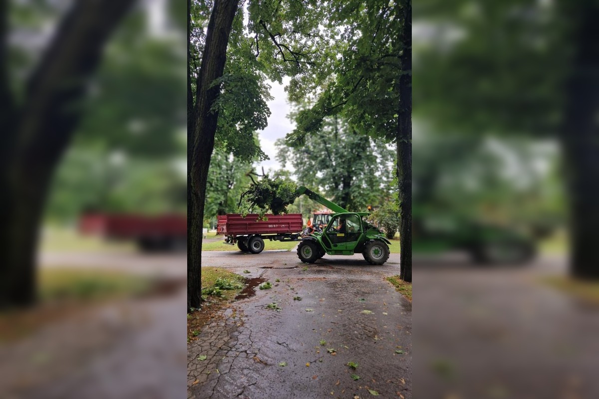 FOTO: V Piešťanoch spadol na ihrisko chorý strom, foto 6