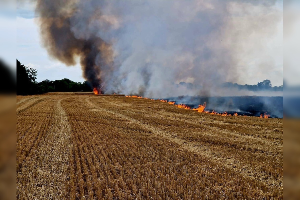FOTO: Hasiči zasahovali pri požiari obilia, foto 1