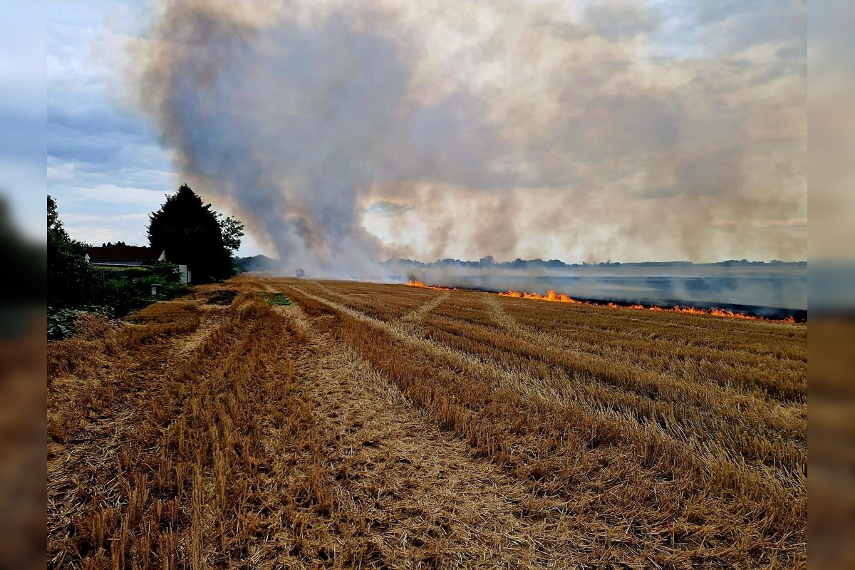 FOTO: Hasiči zasahovali pri požiari obilia, foto 2