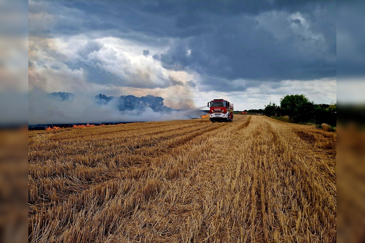 FOTO: Hasiči zasahovali pri požiari obilia, foto 3
