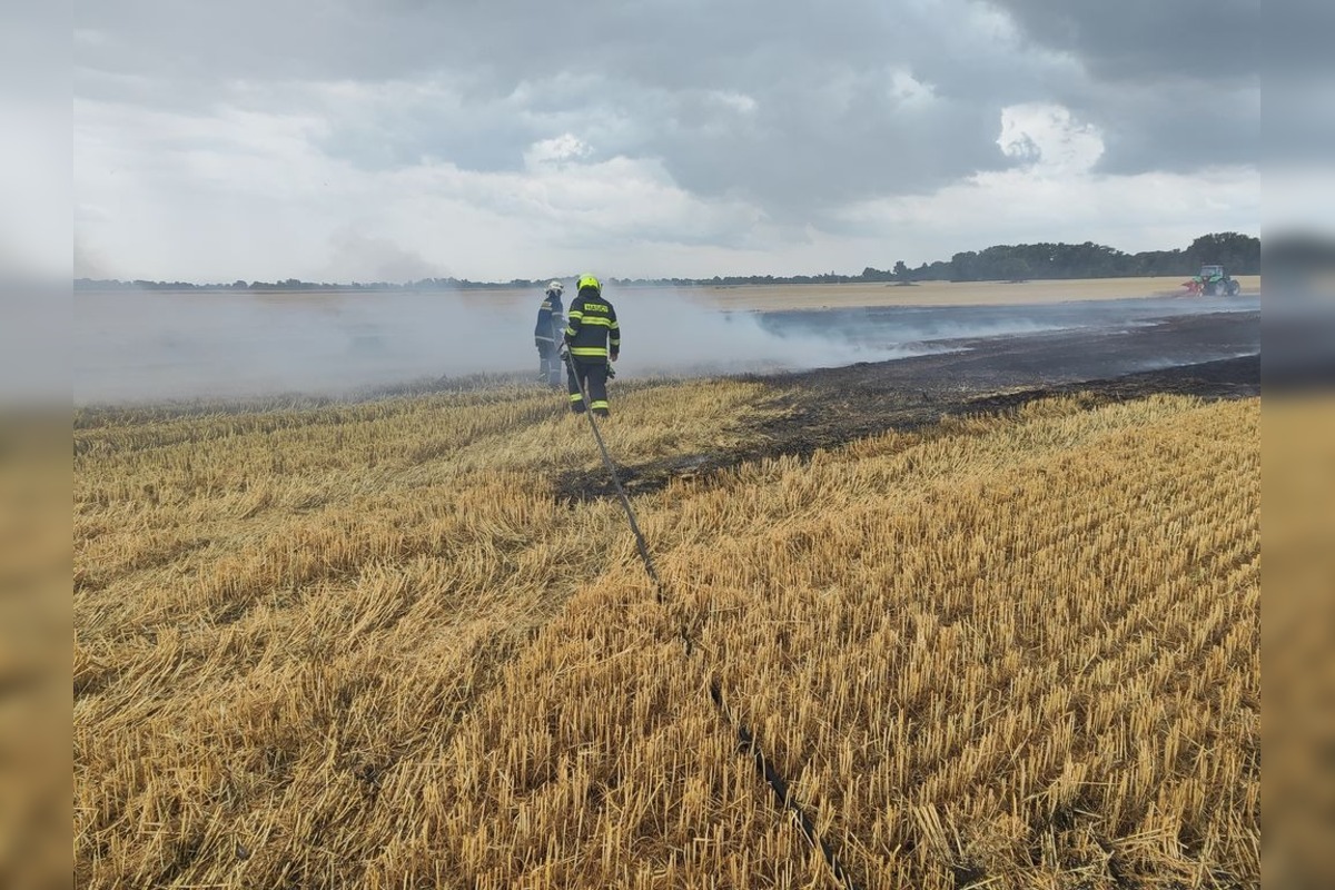 FOTO: Hasiči zasahovali pri požiari obilia, foto 4