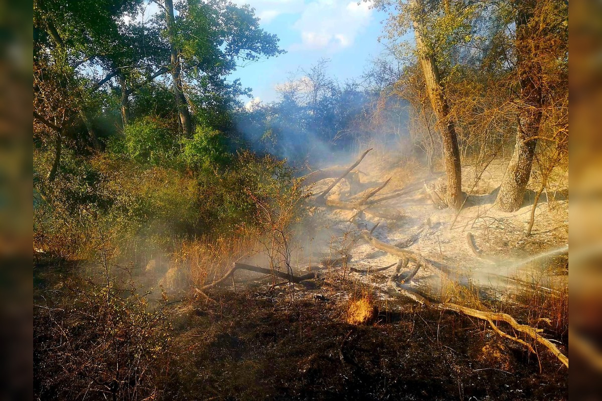 FOTO: Hasiči zlikvidovali niekoľko požiarov porastov a strnísk v Trnavskom kraji, foto 1