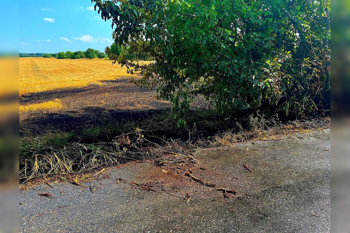 FOTO: Hasiči zlikvidovali niekoľko požiarov porastov a strnísk v Trnavskom kraji, foto 2