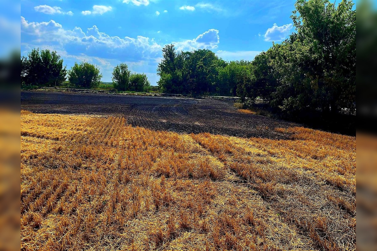 FOTO: Hasiči zlikvidovali niekoľko požiarov porastov a strnísk v Trnavskom kraji, foto 3