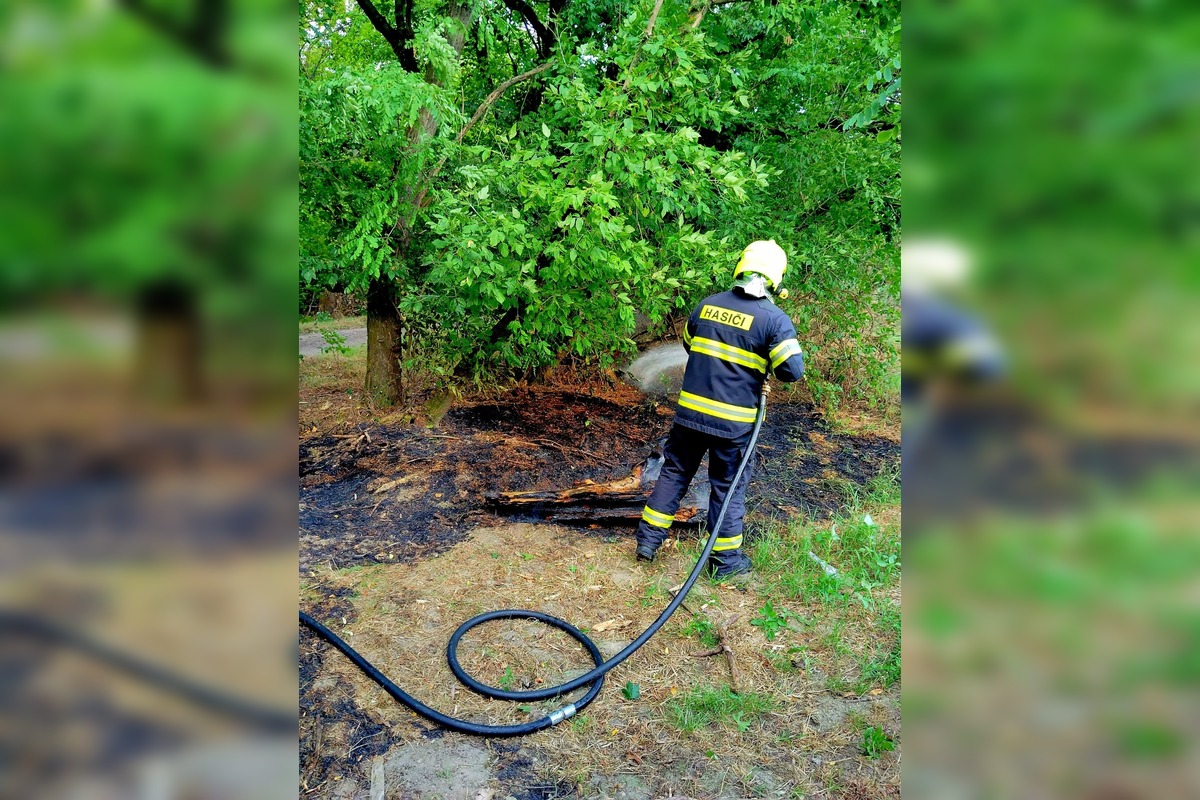 FOTO: Hasiči zlikvidovali niekoľko požiarov porastov a strnísk v Trnavskom kraji, foto 4