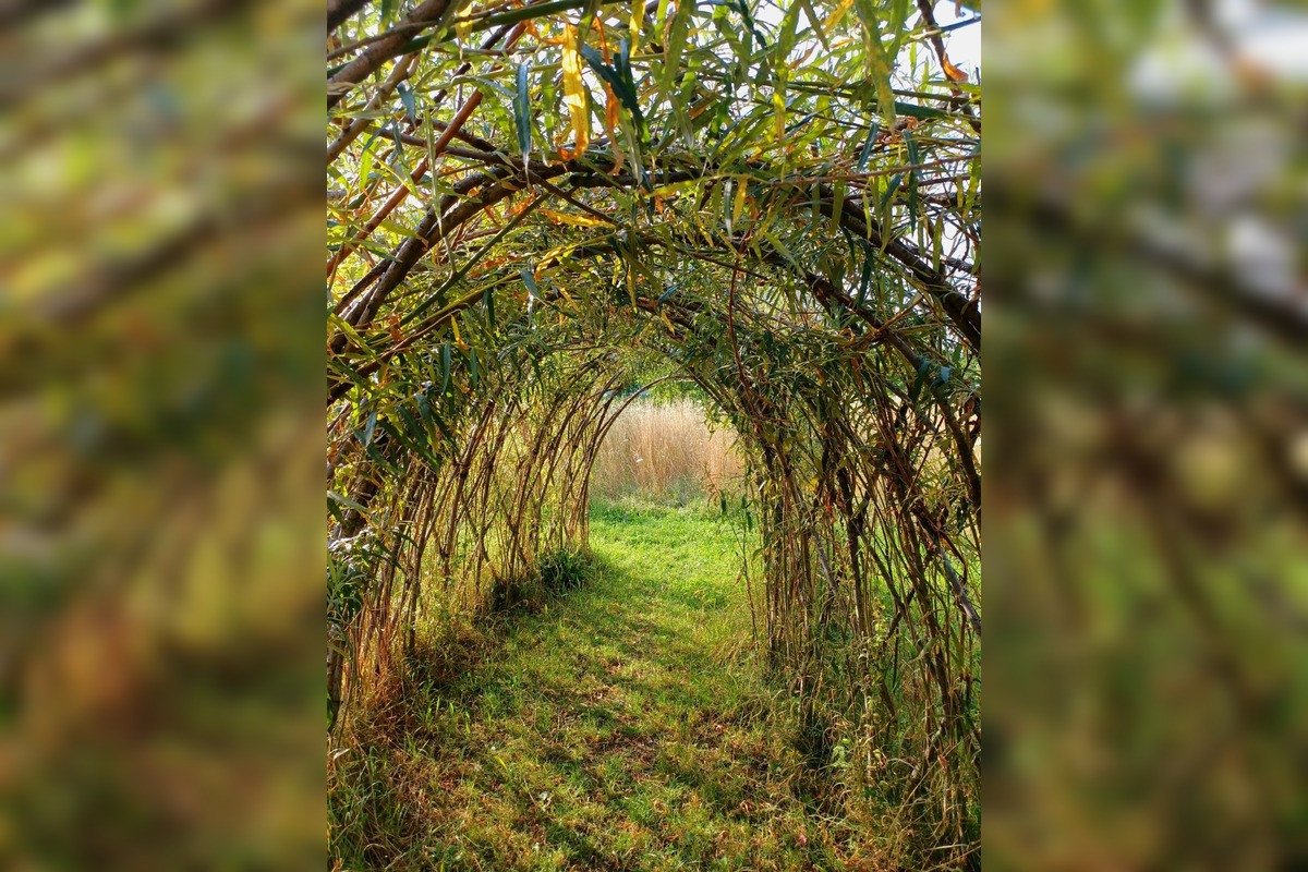 FOTO: Trnavčanka zachytila krásu letnej Trnavy, foto 5