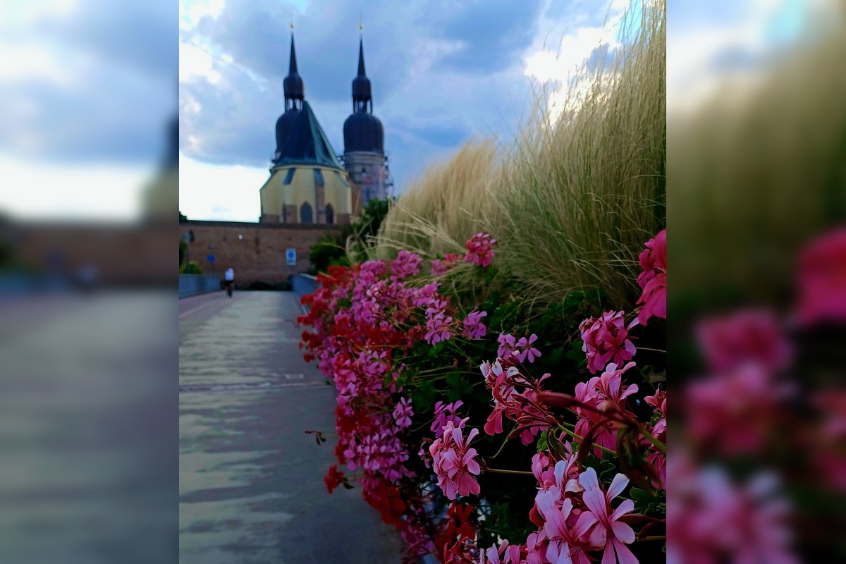 FOTO: Trnavčanka zachytila krásu letnej Trnavy, foto 8