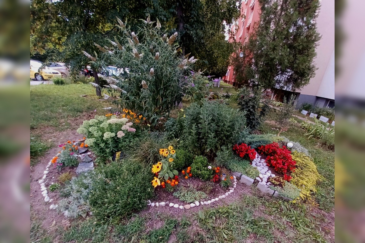 FOTO: Trnavčanka zachytila krásu letnej Trnavy, foto 12