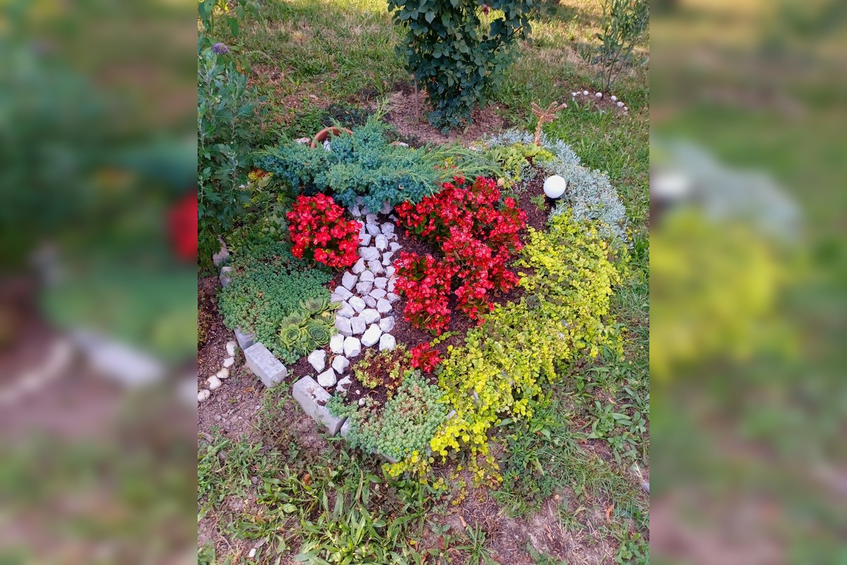 FOTO: Trnavčanka zachytila krásu letnej Trnavy, foto 13