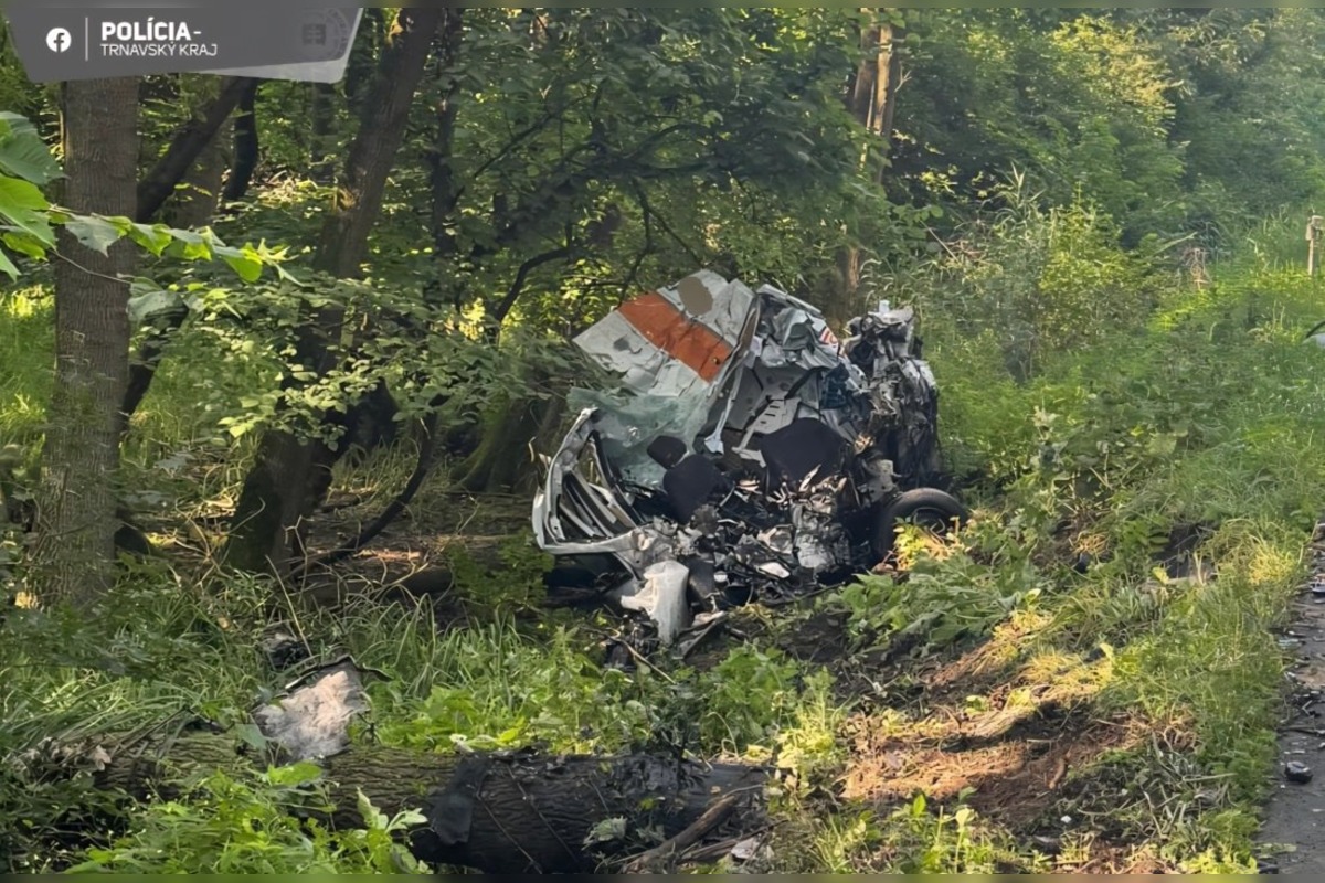 FOTO: Pri nehode medzi Kopčanmi a Adamovom zahynul vodič dodávky, foto 6