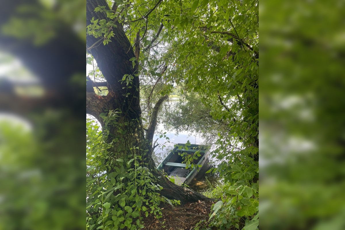 FOTO: Krásne dotvorenie atmosféry a či vizuálny smog?, foto 6