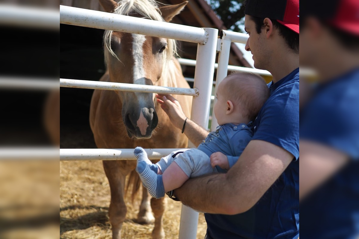 FOTO: Známy farmár Martin Bagar musel zatvoriť farmu Etelku v Prašníku, foto 1