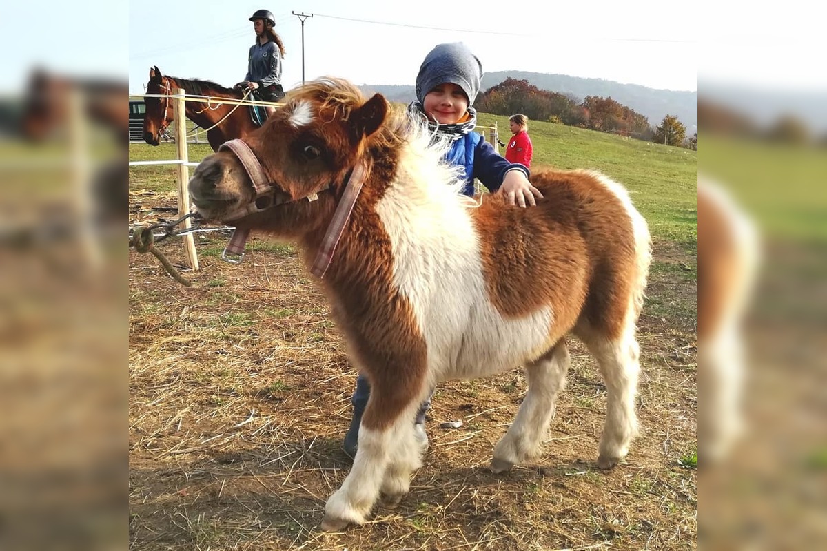 FOTO: Známy farmár Martin Bagar musel zatvoriť farmu Etelku v Prašníku, foto 2