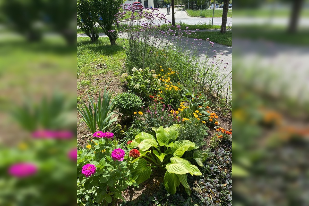 FOTO: Najkrajšia predzáhradka v Trnave, foto 1