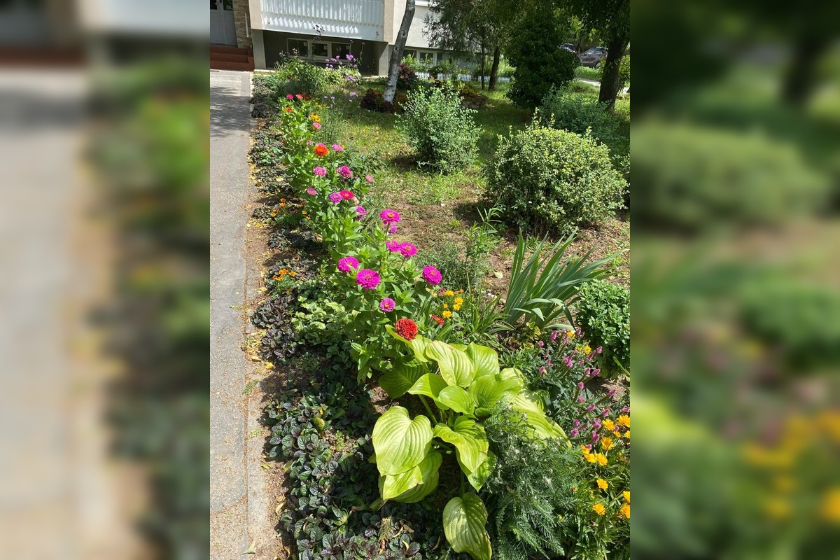 FOTO: Najkrajšia predzáhradka v Trnave, foto 4