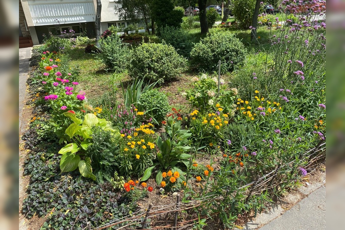 FOTO: Najkrajšia predzáhradka v Trnave, foto 5