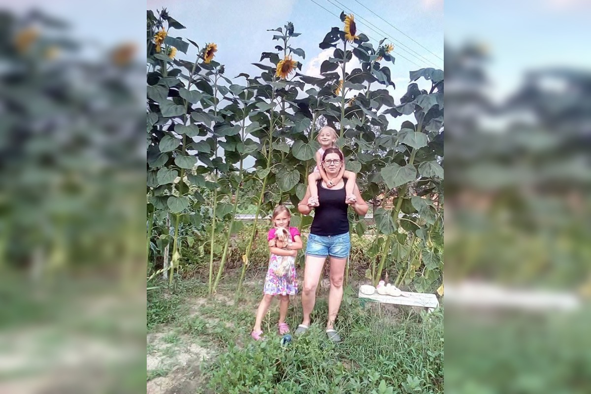 FOTO: Hlohovčanom sa podarilo vypestovať nadrozmerné slnečnice, foto 2